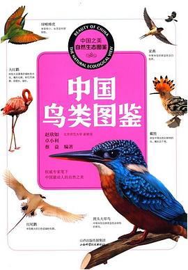 鸟类行为图鉴 鸟类行为图鉴